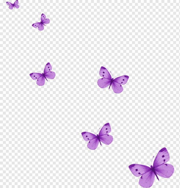 фиолетовая бабочка