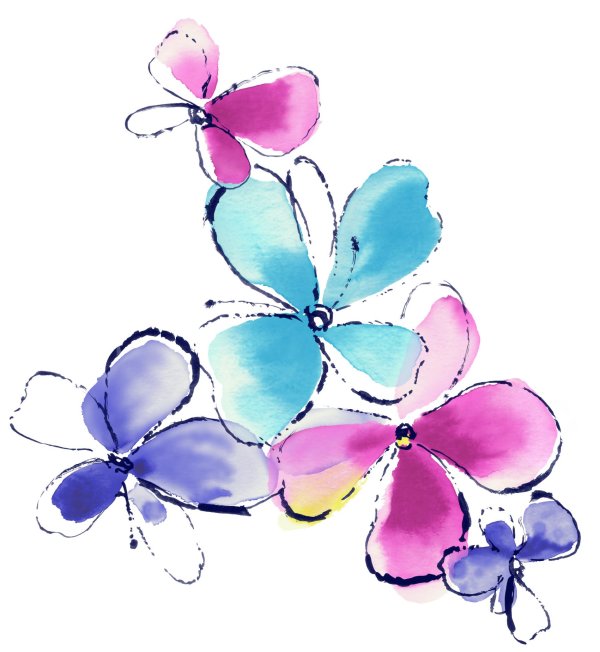 цветы контур и акварель