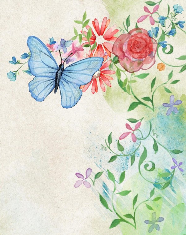 watercolor butterfly
