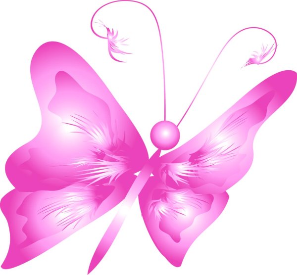 розовая бабочка