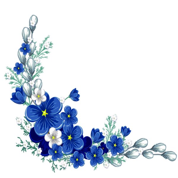 цветы угловые