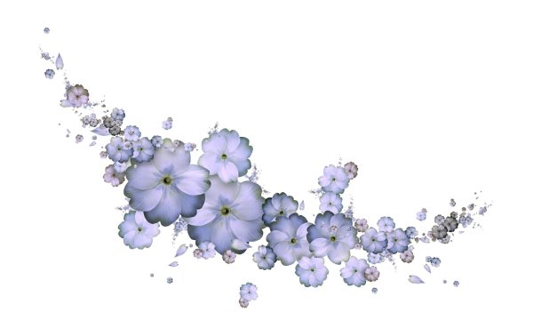 прозрачный фон цветы