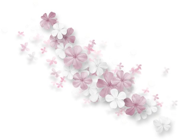 россыпь цветов