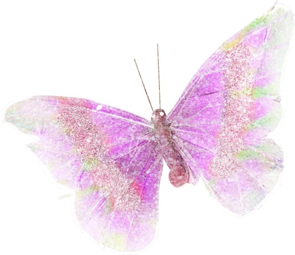 бабочка блестящая