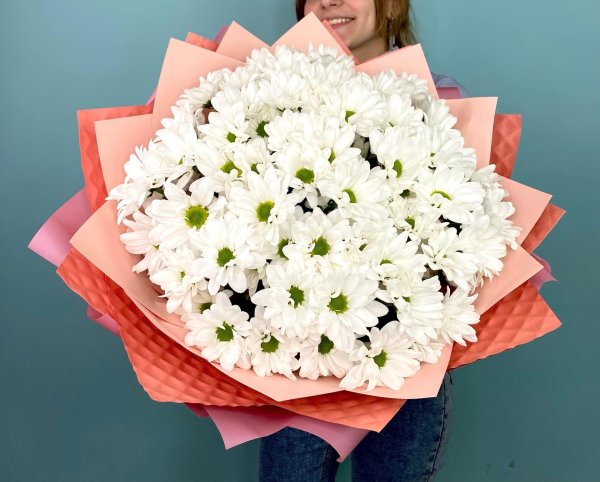 11 кустовых хризантем