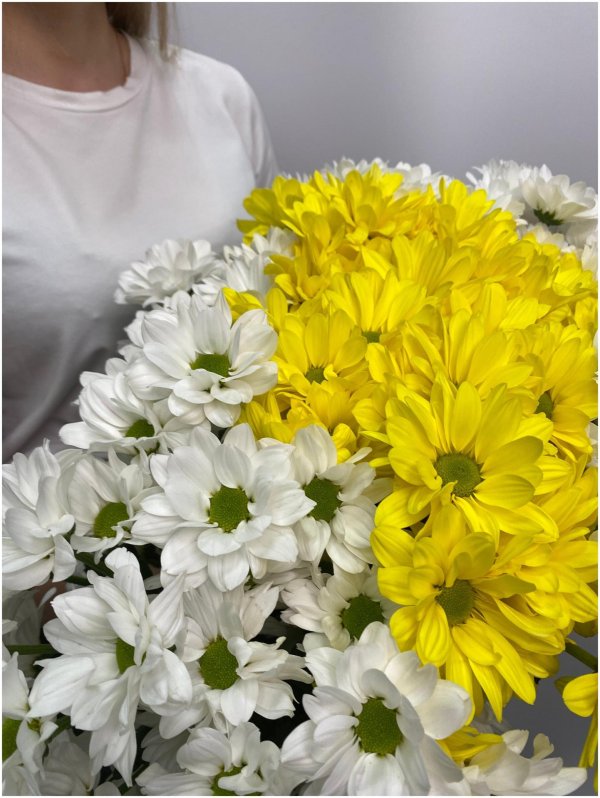 хризантемы микс