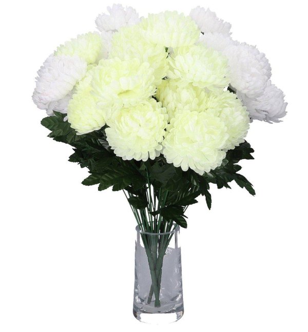 хризантема одноголовая магнум