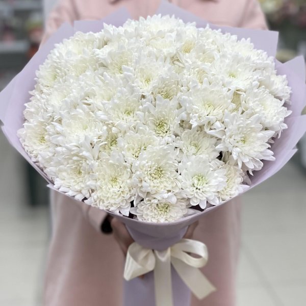 9 кустовых хризантем балтика