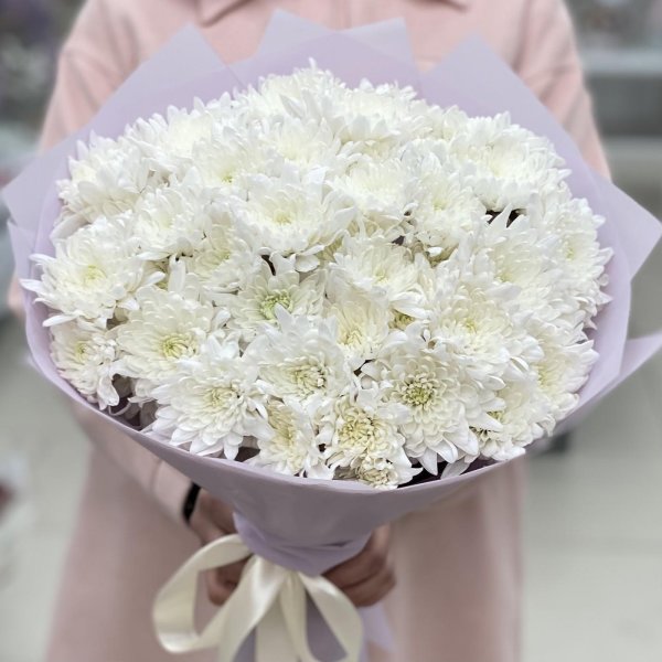 9 кустовых хризантем балтика