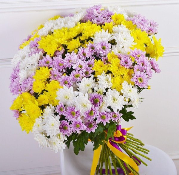 хризантем букет