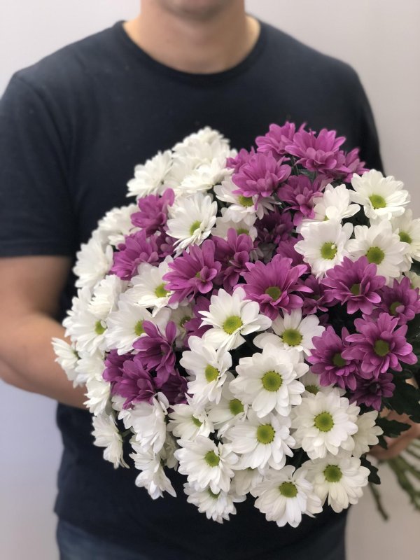 кустовые хризантемы