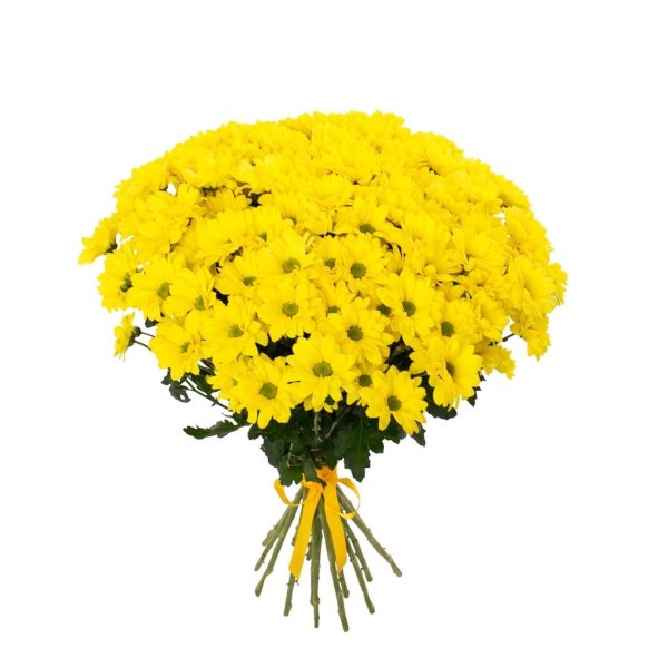 букет с желтой кустовой хризантемой