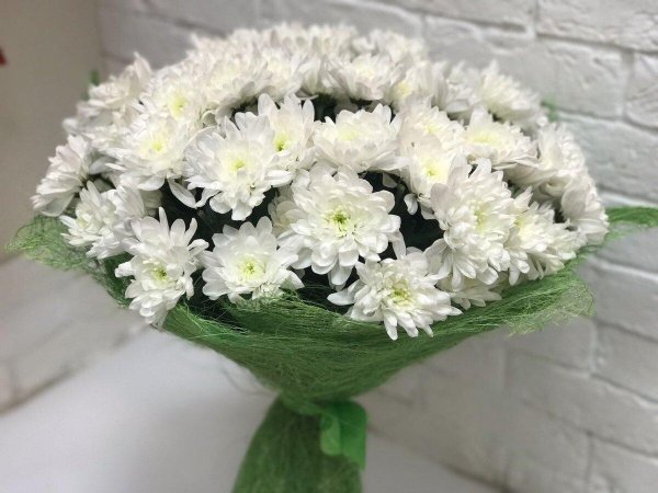 монобукет  хризантема