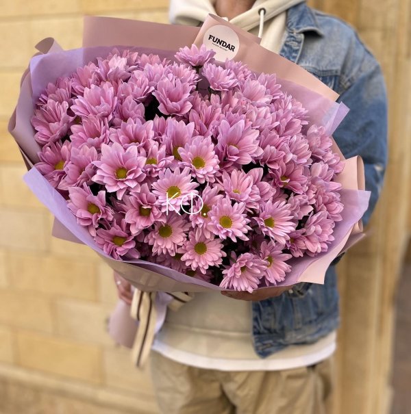 хризантема белла пинк