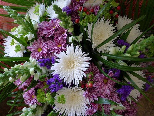 герберы хризантемы мимоза