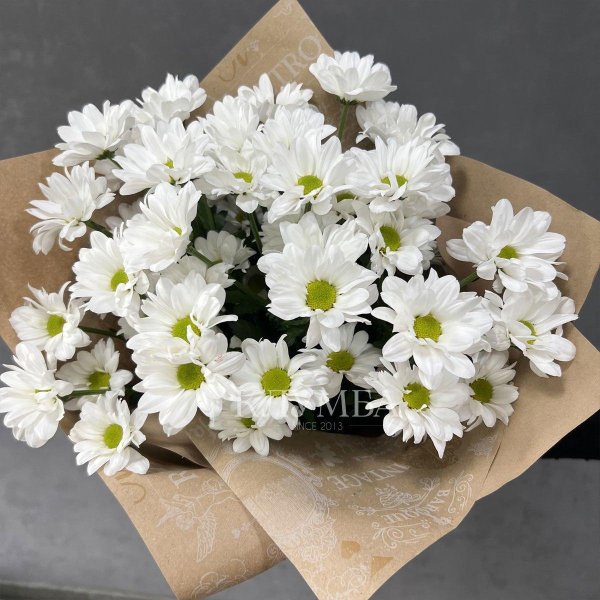 кустовые хризантемы