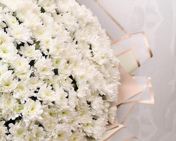 кустовые хризантемы