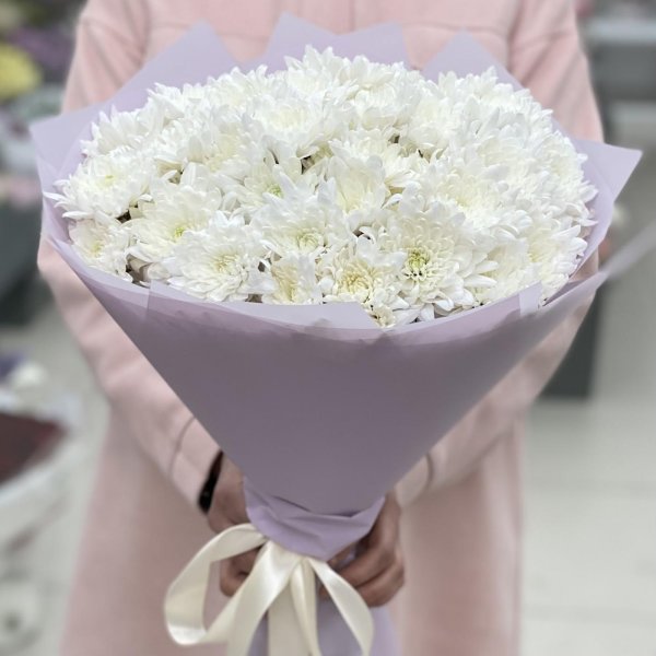 хризантемы белые крупные
