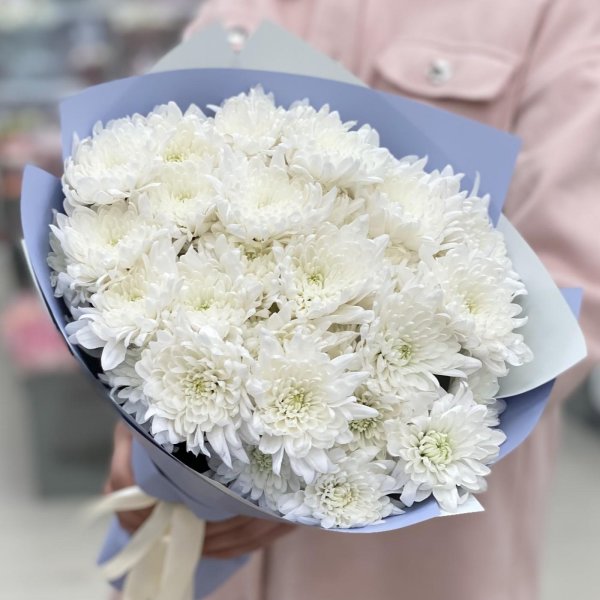 хризантемы белая