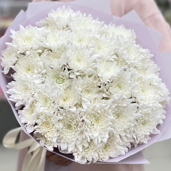 9 кустовых хризантем балтика