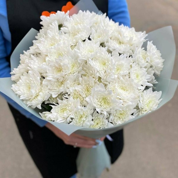 9 кустовых хризантем балтика