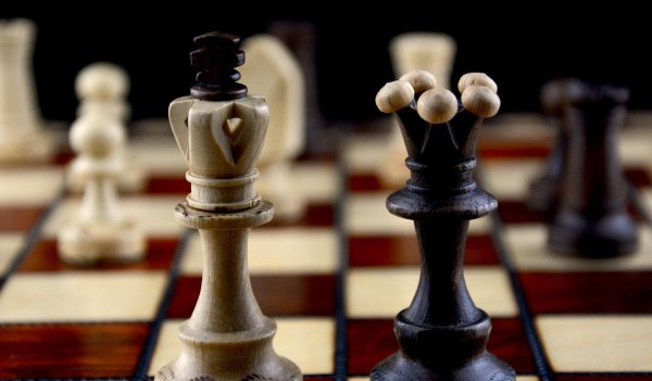 шахматы игра