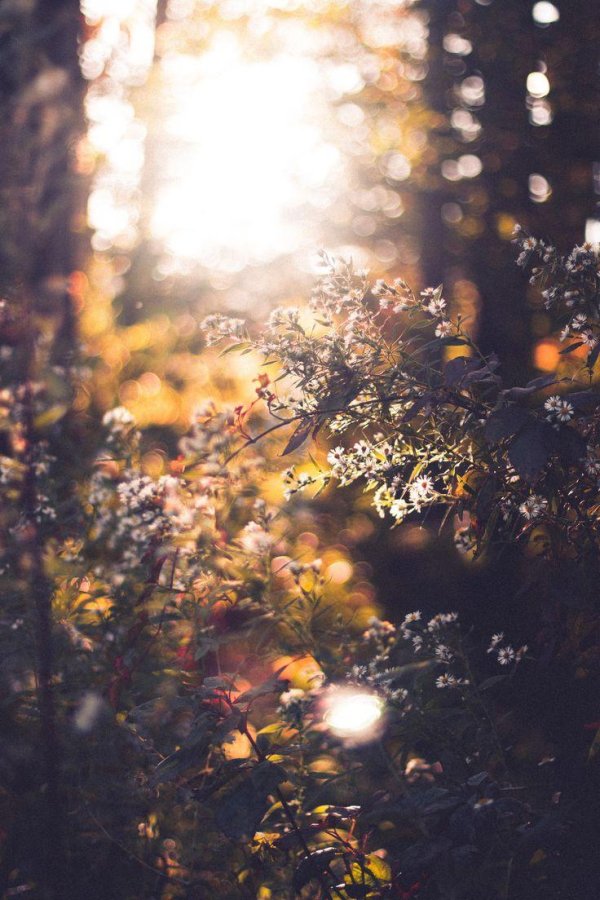 осень теплая