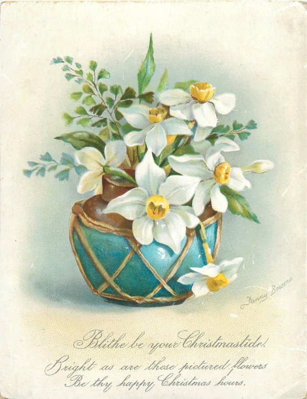 старые открытки с нарциссами