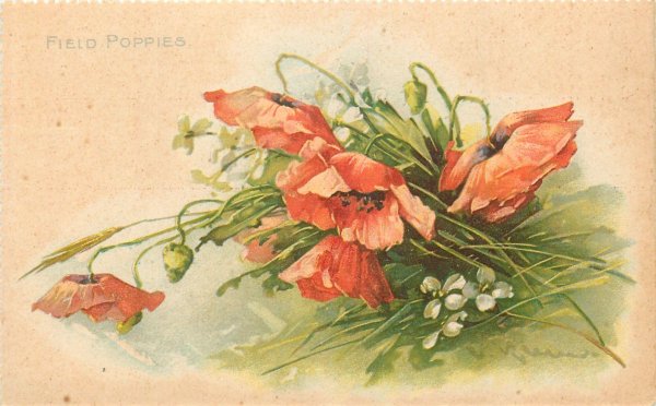 катарина кляйн маки