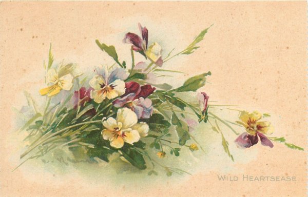 decoupageанютины глазки