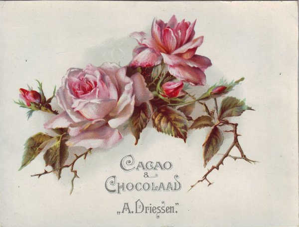 винтажные цветы