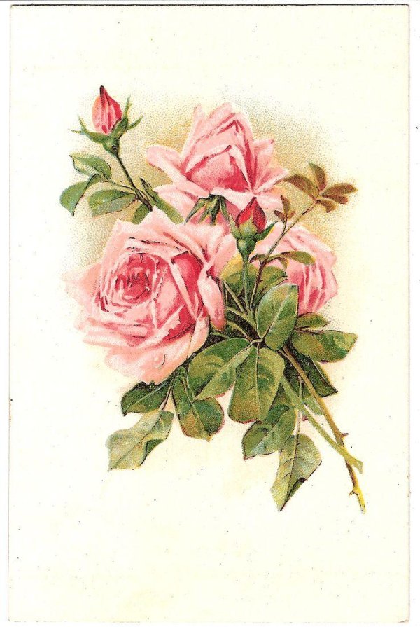 карта для декупажа розы