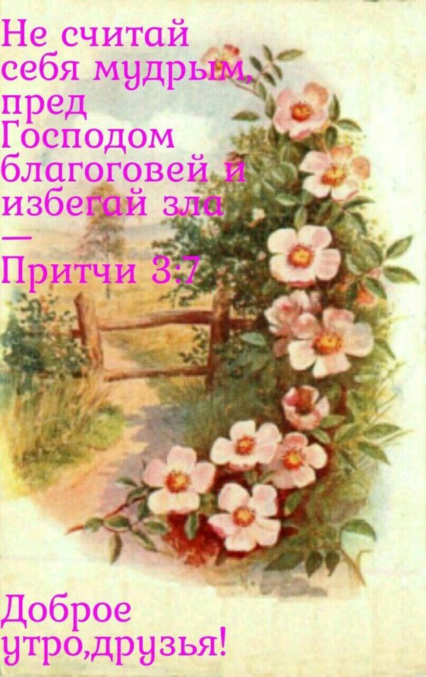 библейские стихи