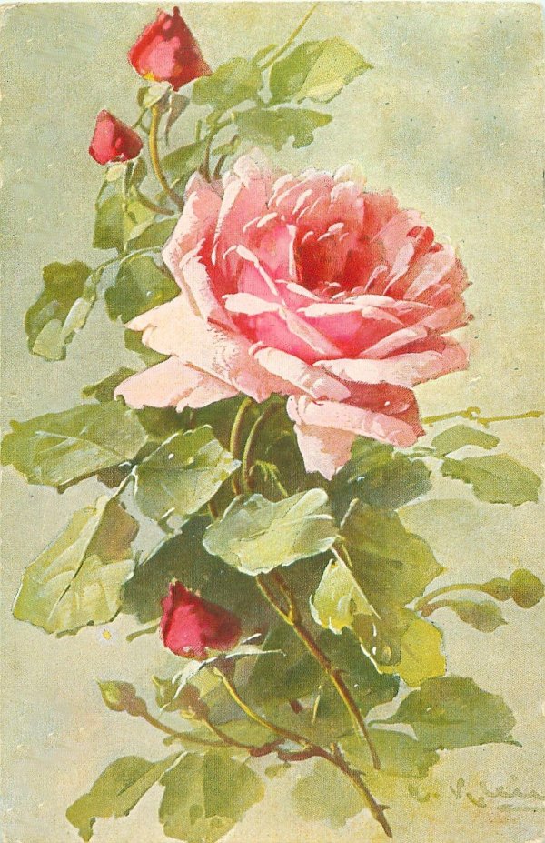 живопись катарины кляйн