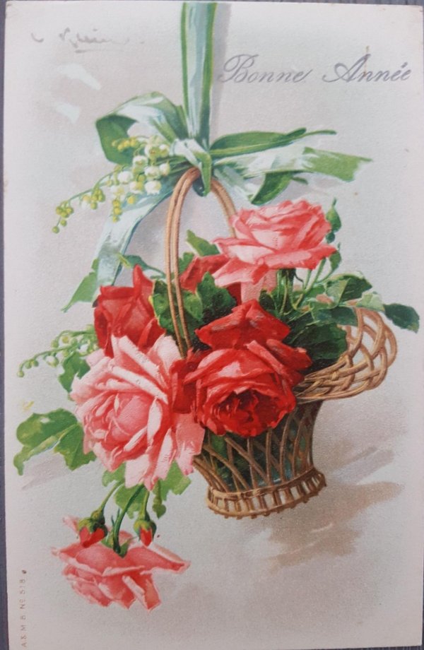 катарина кляйн розы