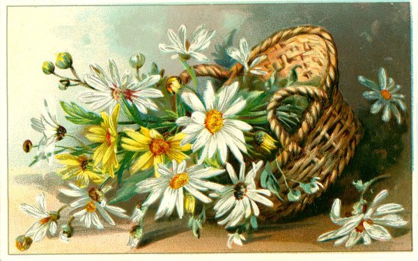 ромашки в живописи