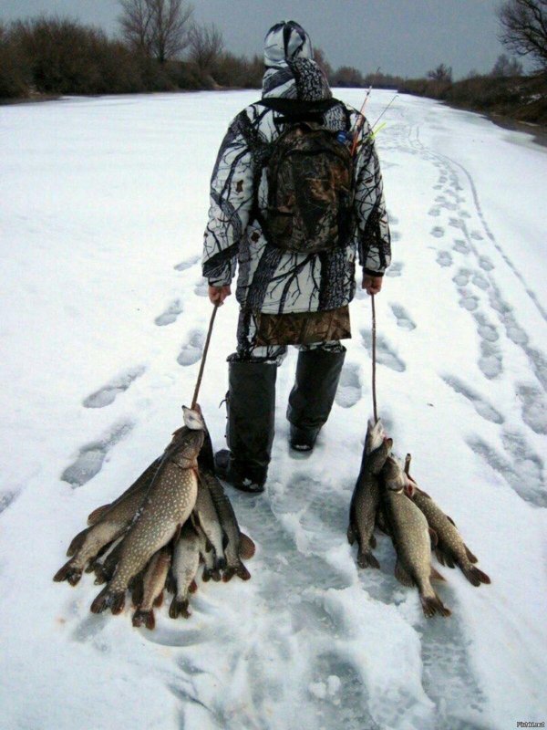 зимний улов