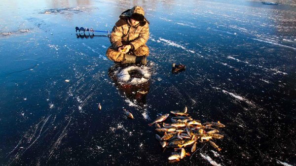 рыбаки на льду