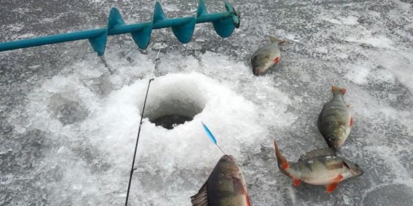 подледный лов