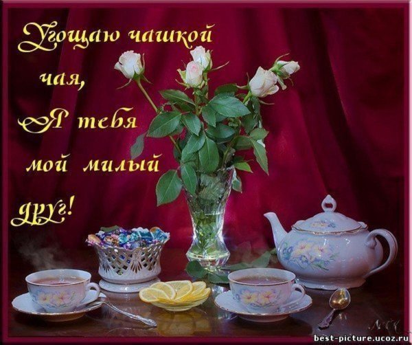 доброго вечера чай