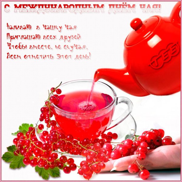 красная смородина