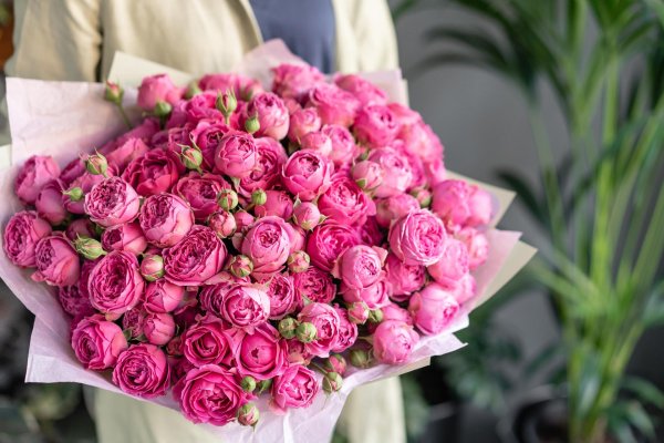 роза мисти баблс