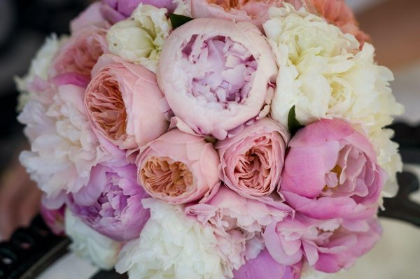 пионы и пионовидные розы