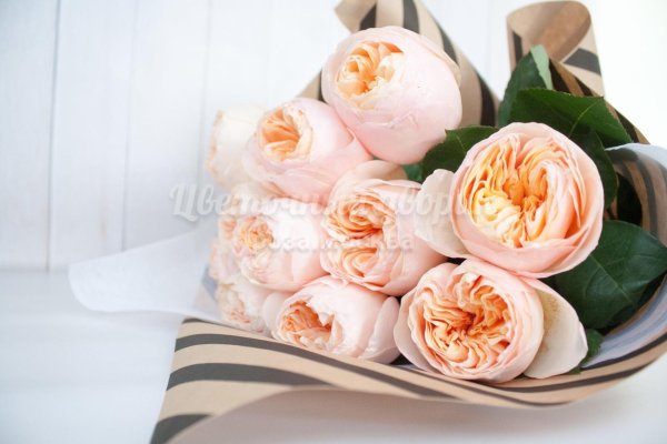 роза дэвида остина джульетта