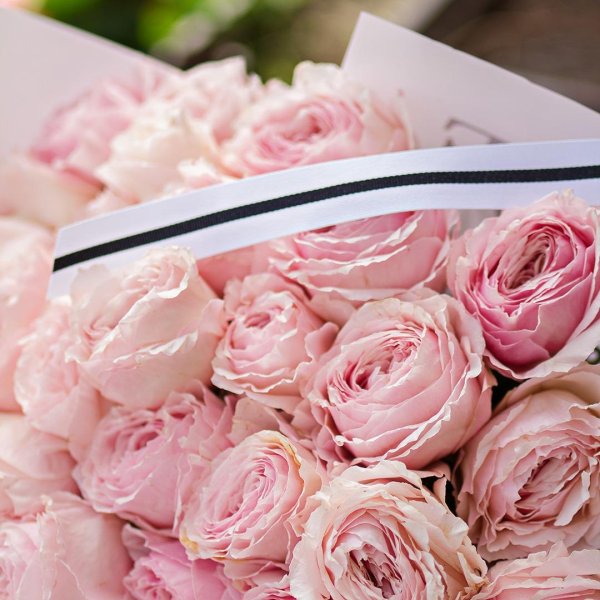 пионовидные розовые розы