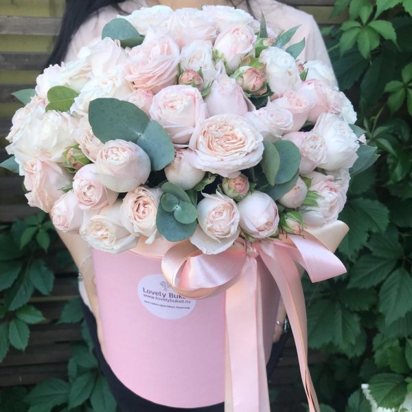 бомбастик роза кустовая