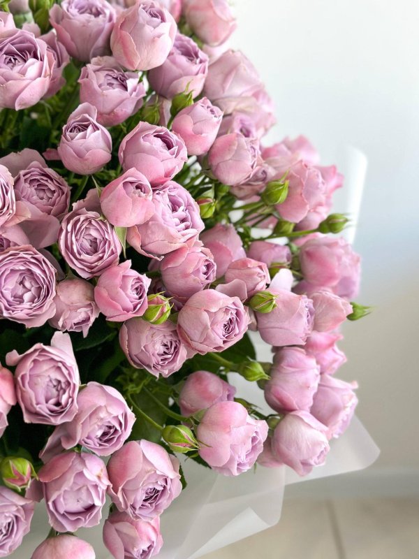 пионовидная роза кустовая