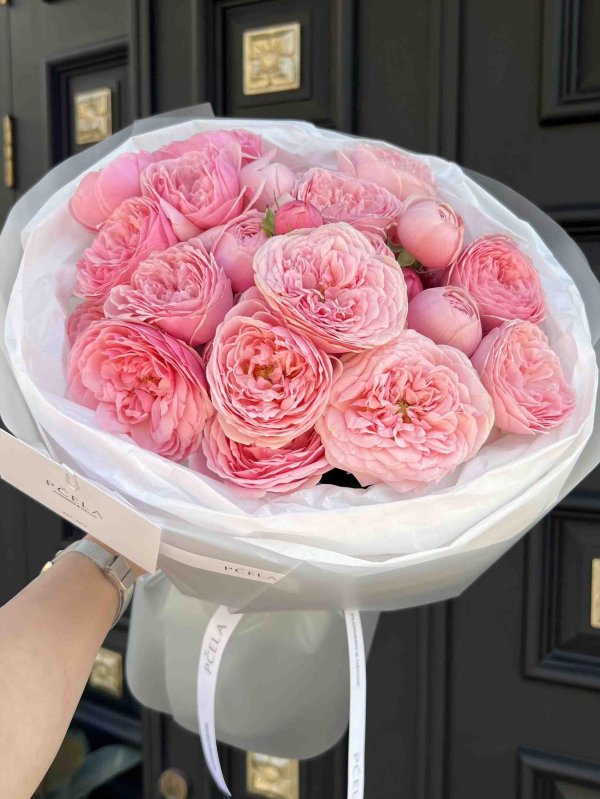 роза пинк экспрешн