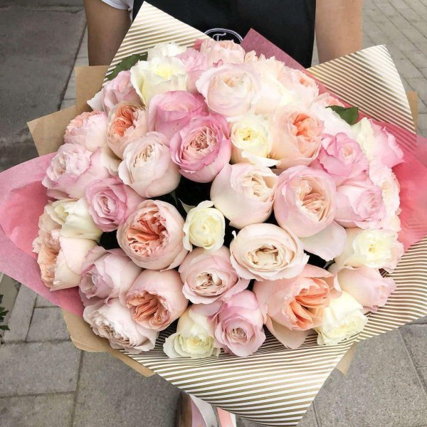 пионовидная роза