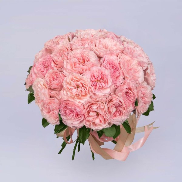 роза майра роуз